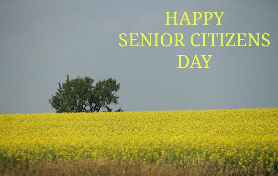 Put-in-Bay Senior Citizens Day Put-in-Bay Senior Citizens Day