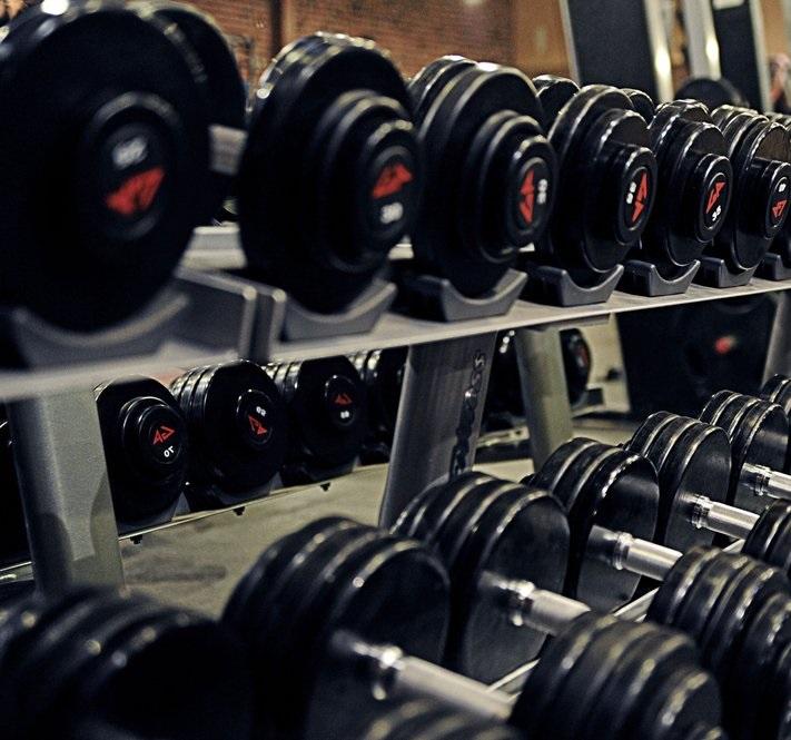 Muscle Bay Fitness Muscle Bay Fitness