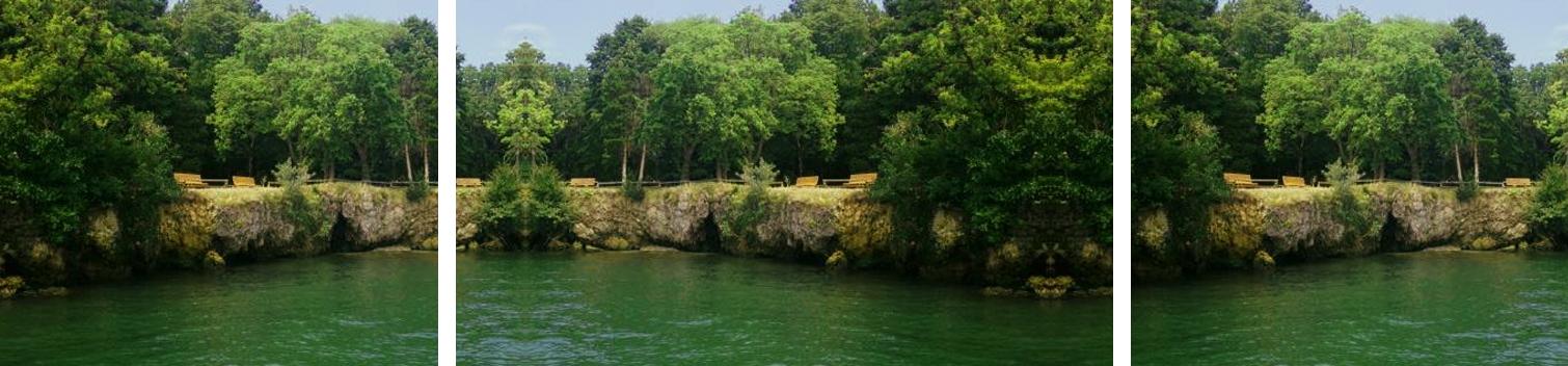 Massie Cliffside Preserve Massie Cliffside Preserve