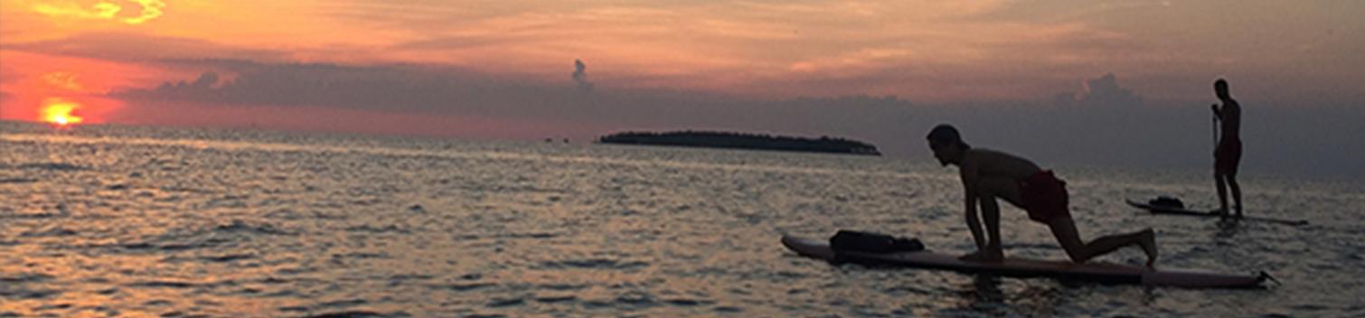 Bay Paddleboarding Bay Paddleboarding