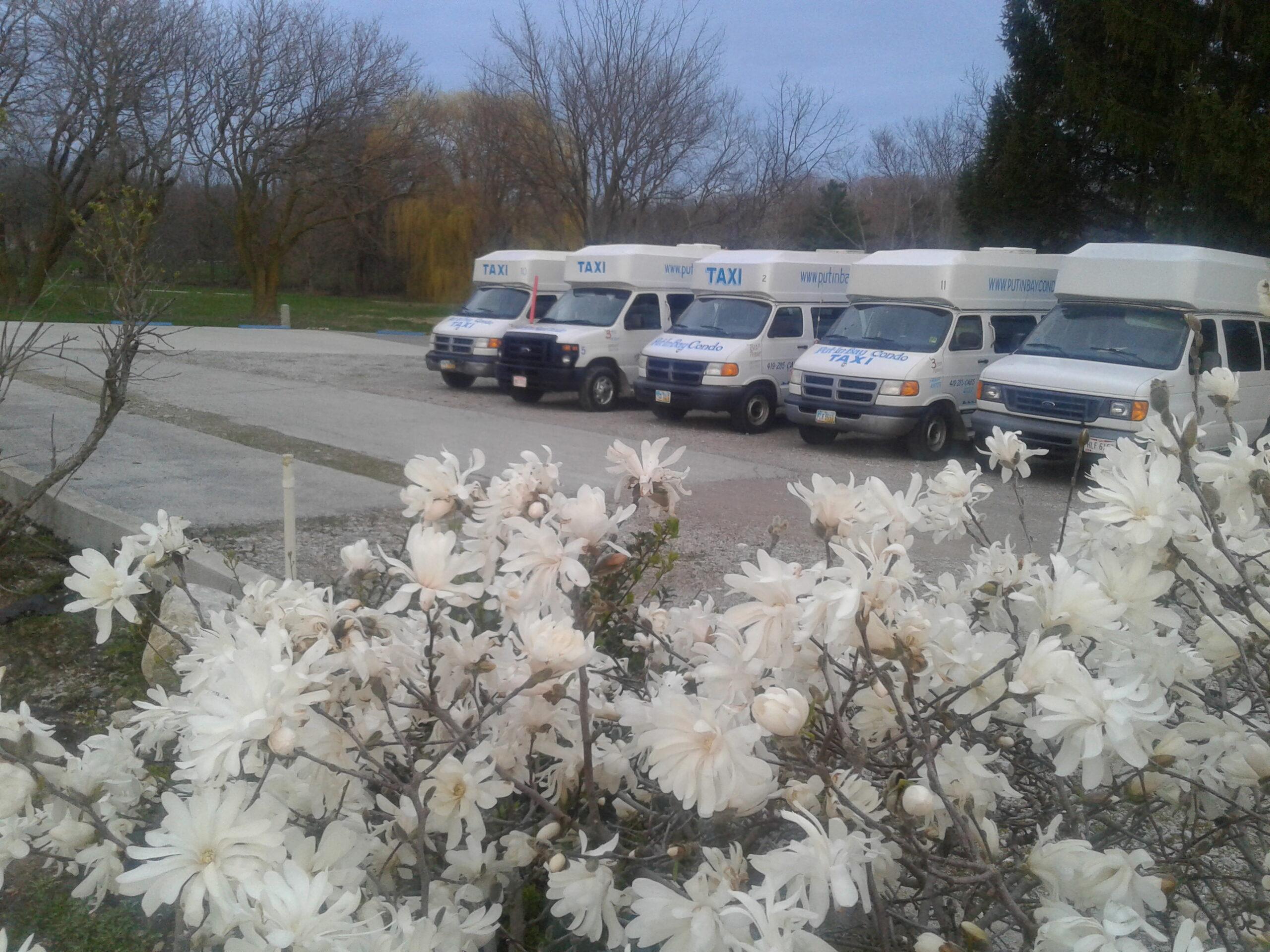 Put-in-Bay Condos Taxi Put-in-Bay Condos Taxi