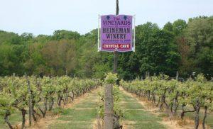 Heinemans Winery vines