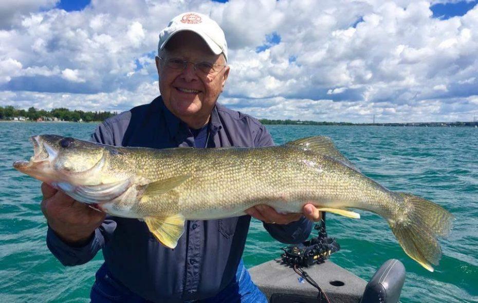 Walleye plentiful for Ohio fishers angling in Lake Erie