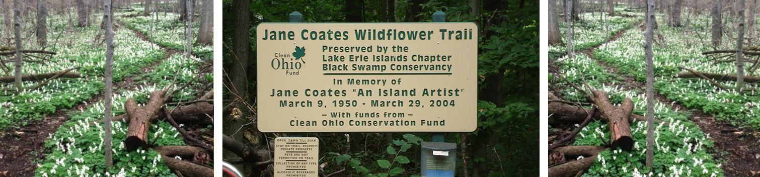 Jane Coates Wildflower Trail
