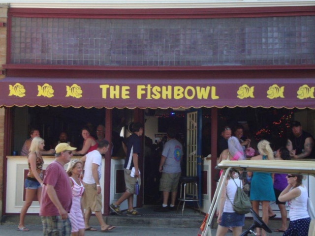 The Fishbowl