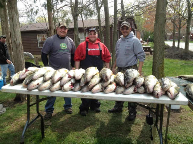 Put-in-Bay Spring Walleye Fishing