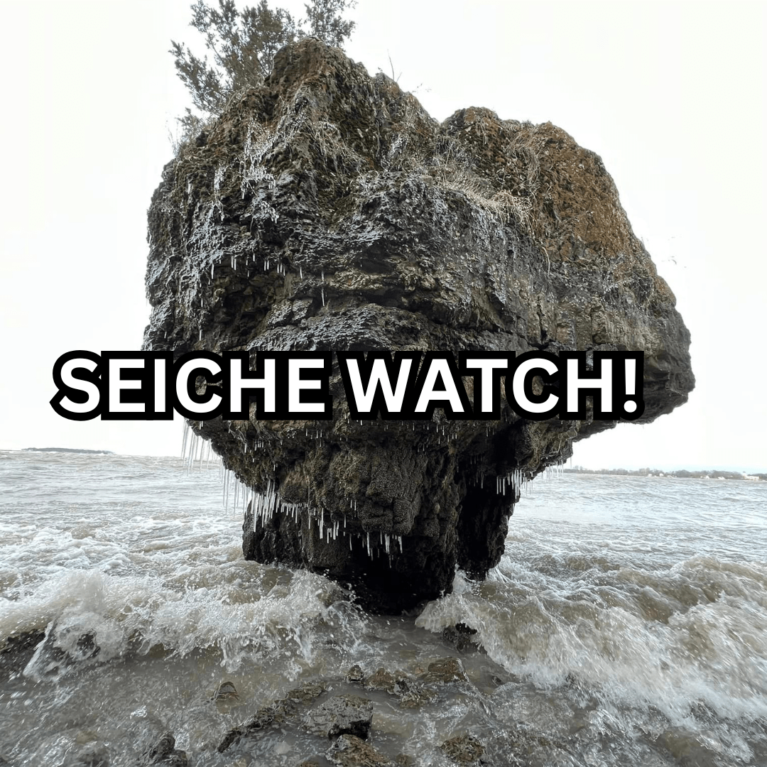 Seiche Watch: 11/26/25