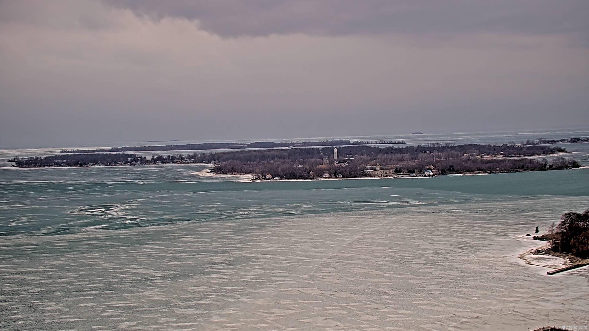 image-8202-1771606129943