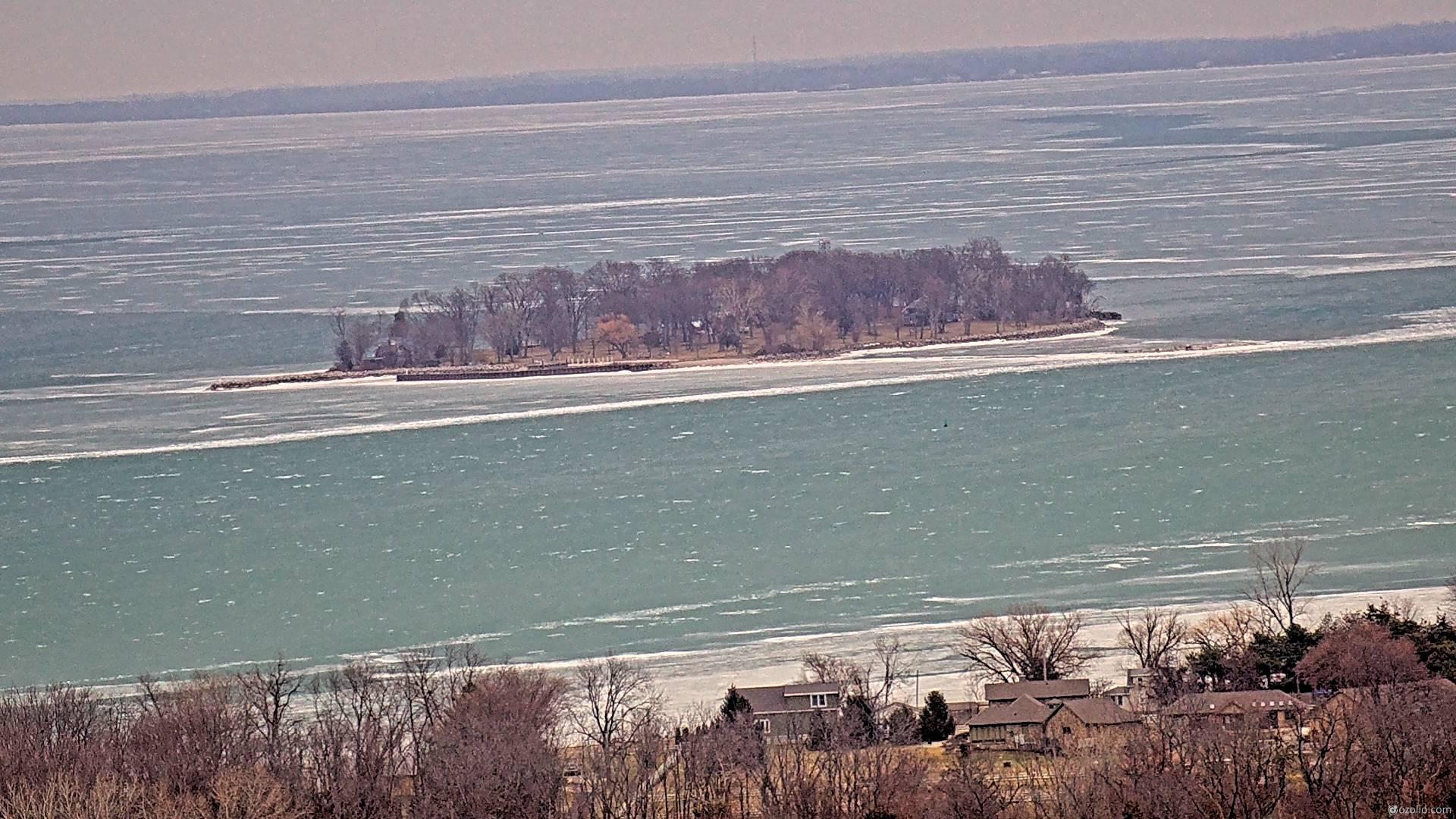 image-8206-1771606165267