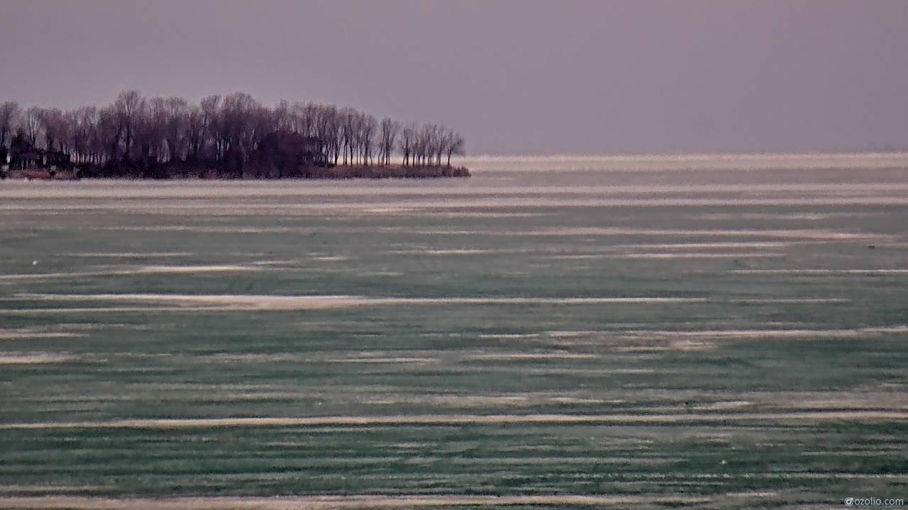 image-8210-1771606276109