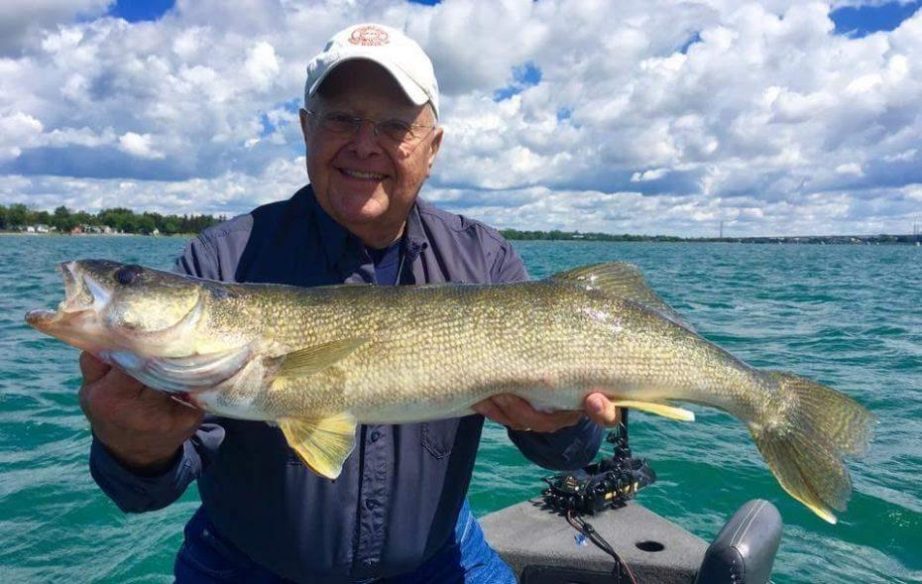 walleye-lake-erie walleye-lake-erie