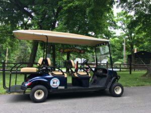 Island Club Golf Cart