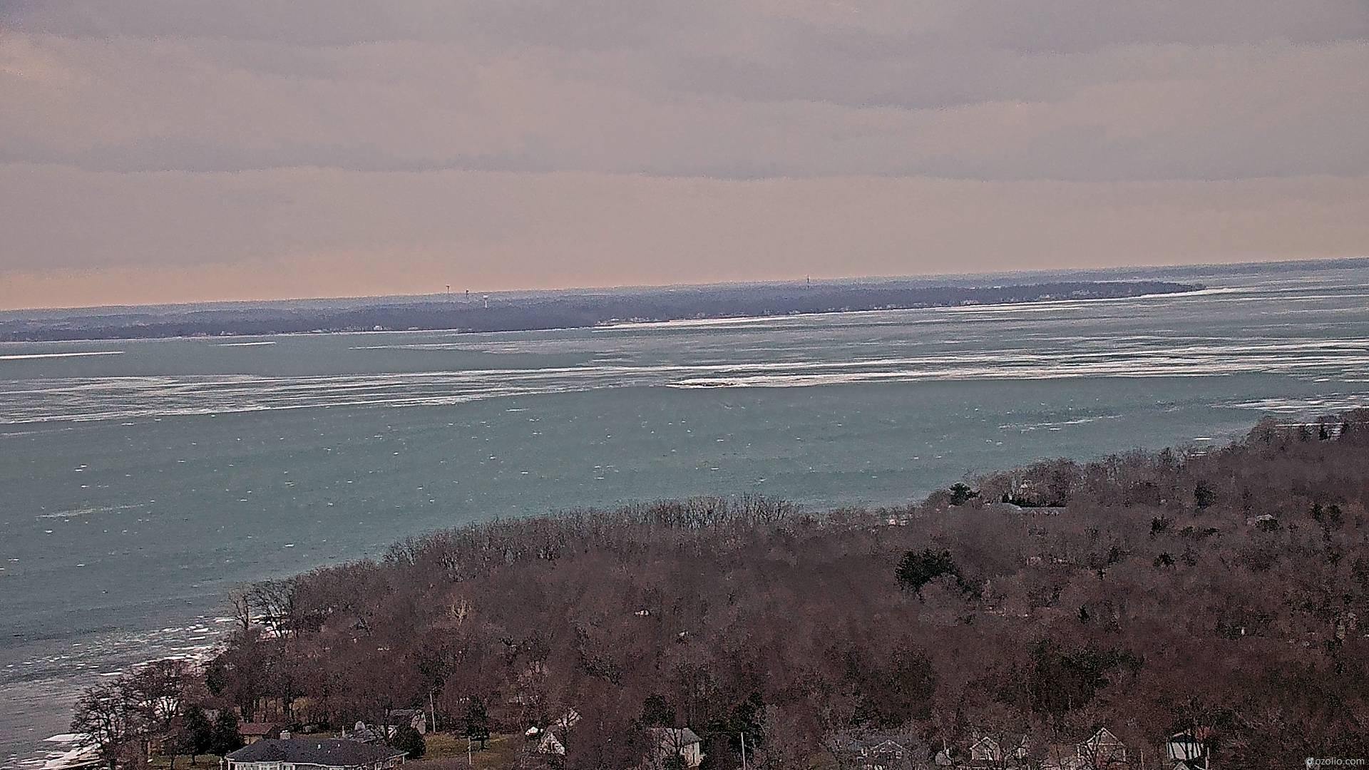 image-8214-1771606297360