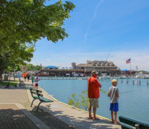 Five Fish You Are Likely To Find In Lake Erie Five Fish You Are Likely To Find In Lake Erie