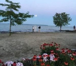 Put in Bay Beaches Put in Bay Beaches