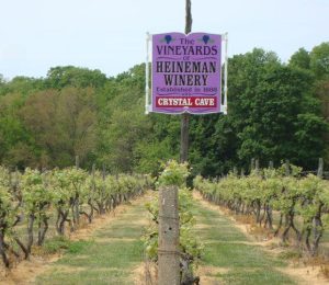 History of Wine Culture on South Bass Island History of Wine Culture on South Bass Island